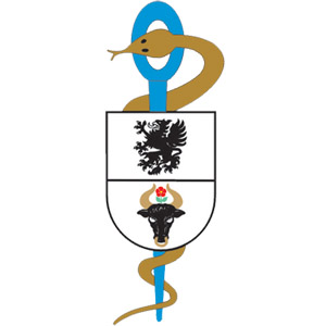 logo szpitala 